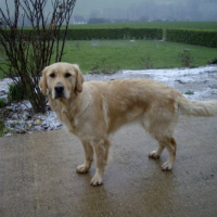 Photo #201149 de Cannelle