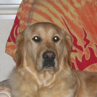 Photo #201152 de Cannelle