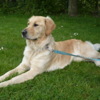 Photo #201159 de Cannelle