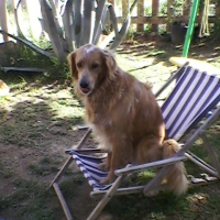 Photo #201198 de Samy