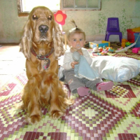 Photo #201226 de Uisty