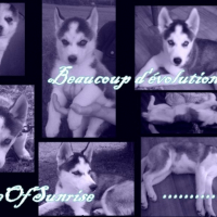 Photo #201277 de Even