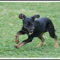 Photo #201336 de Twix