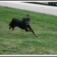 Photo #201337 de Twix