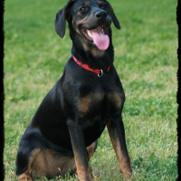Photo #201341 de Twix