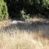 SDC10356