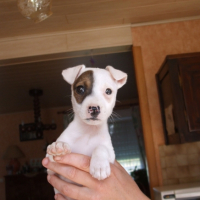 Photo #201492 de Emie