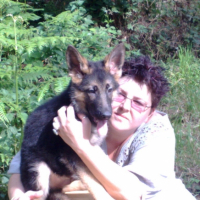 Photo #201546 de Domino