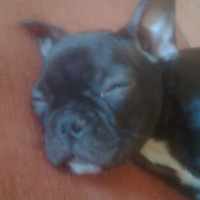 Photo #201572 de Eliot