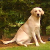 DSC00154