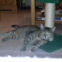 Photo #201822 de Isis