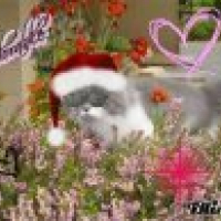 Photo #201879 de Vladimir
