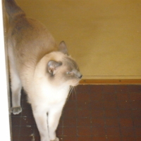 Photo #201891 de Athos