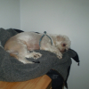 Photo_019