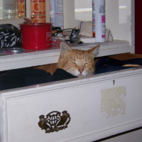 Photo #201908 de Titin