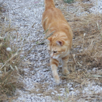 Photo #201910 de Titin