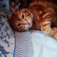 Photo #201911 de Titin