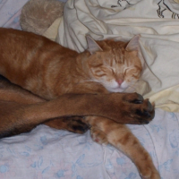 Photo #201912 de Titin