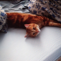 Photo #201913 de Titin