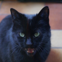 Photo #201921 de Yu-mï