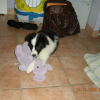 DSCN0235