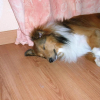 DSCN1437