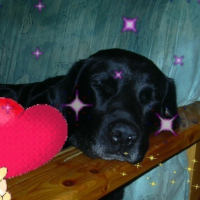 Photo #202062 de Spike