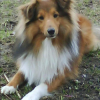 DSC00063