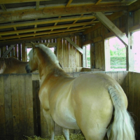 Photo #202078 de Nestor