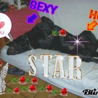 Photo #202087 de Spike