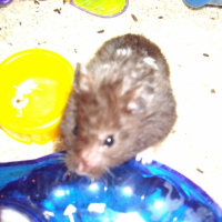 Photo #202110 de Charly