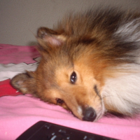 Photo #202170 de Chayton