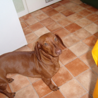 Photo #202237 de Zoé