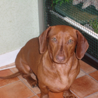 Photo #202259 de Zoé
