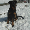 Dans la neige
