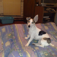Photo #202314 de Cana