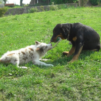 Photo #202354 de Etoile