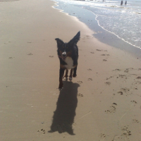 Photo #202364 de Elfie
