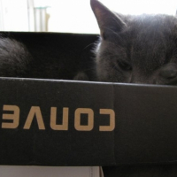 Photo #202370 de Bilbo
