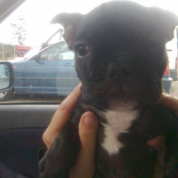Photo #202385 de Eliot