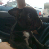 Photo #202386 de Eliot