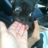 Photo #202387 de Eliot