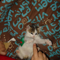 Photo #202463 de Jones