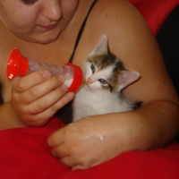 Photo #202473 de Jones