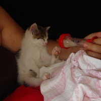 Photo #202476 de Jones