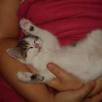 Photo #202484 de Jones