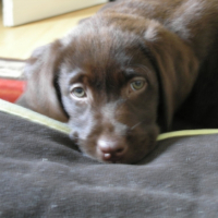 Photo #202489 de Emy