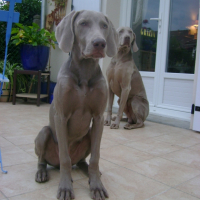 Photo #202505 de Ezekiel