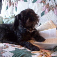 Photo #202510 de Sally