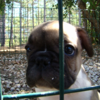 Photo #202514 de Diego